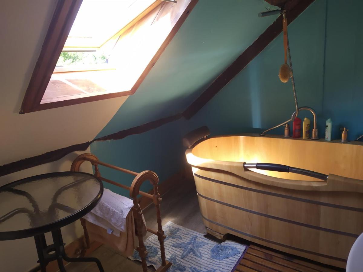 Maison En Granit Bleue Lanhelin Kültér fotó